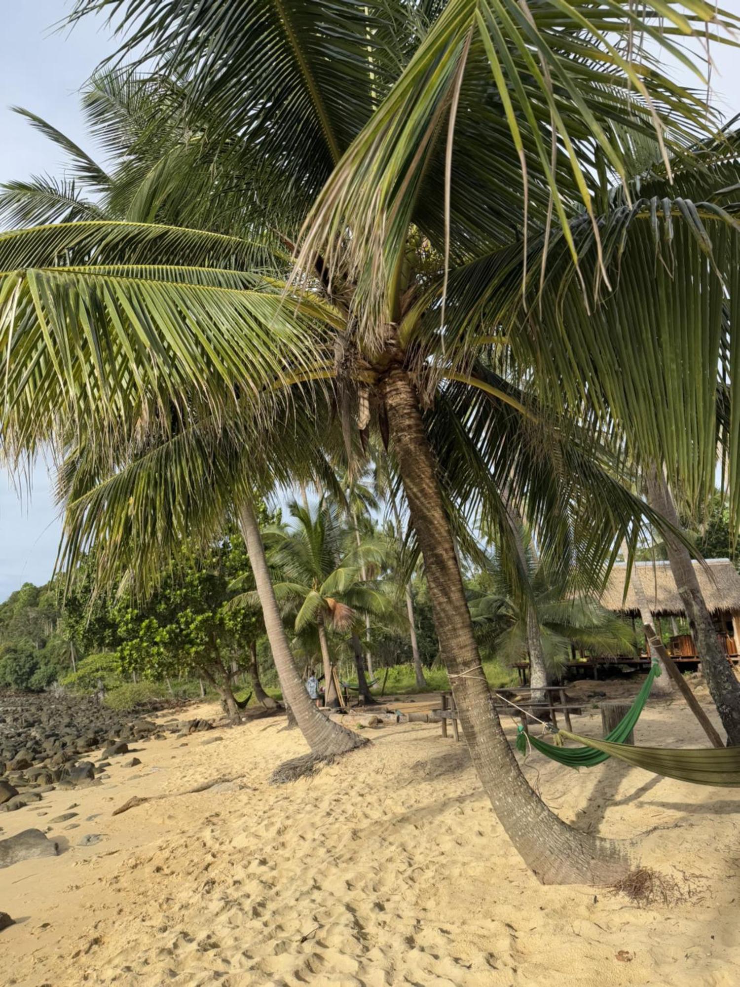 Lily's Prek Svay Village